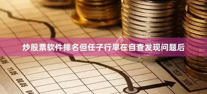 炒股票软件排名但任子行早在自查发现问题后