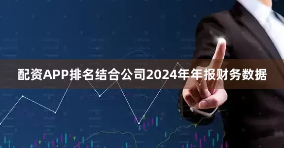 配资APP排名结合公司2024年年报财务数据