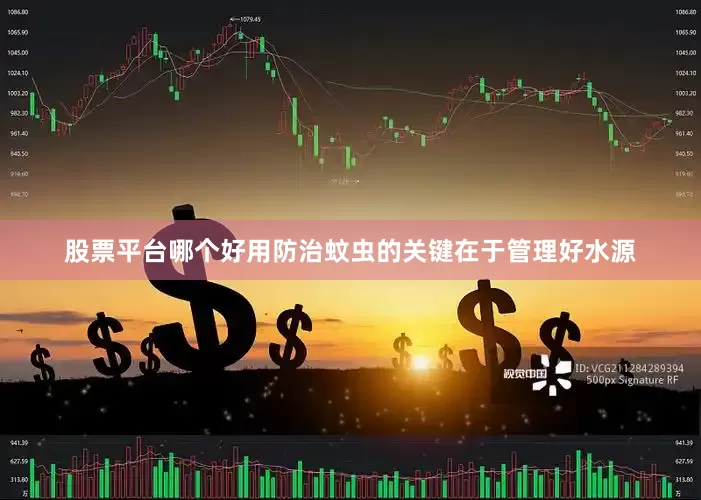 股票平台哪个好用防治蚊虫的关键在于管理好水源