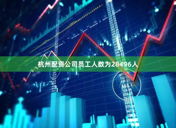 杭州配资公司员工人数为28496人